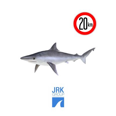 Milk Shark "කිරි මෝරා මාළු"