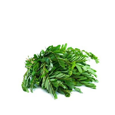 කතුරුමුරුංගා කොළ