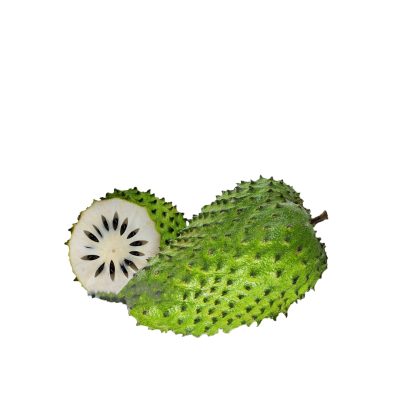 කටු අනොදා