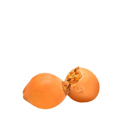 තැඹිලි