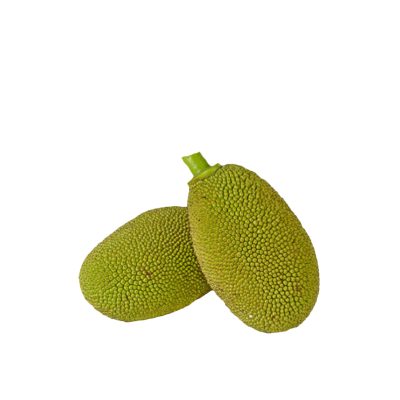 පොලොස්