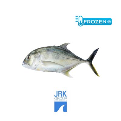 Giant Trevally "Parawa"